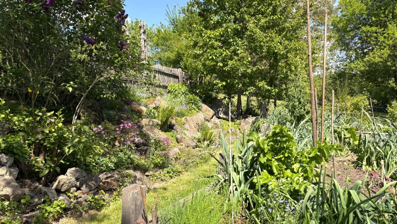 Gitti's garden paradise, © "Natur im Garten" A lush garden with flowers, trees and vegetable patches under a blue sky.