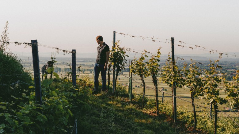 Allram Winery, © Hasselblad X1D Allram Winery, © Hasselblad X1D