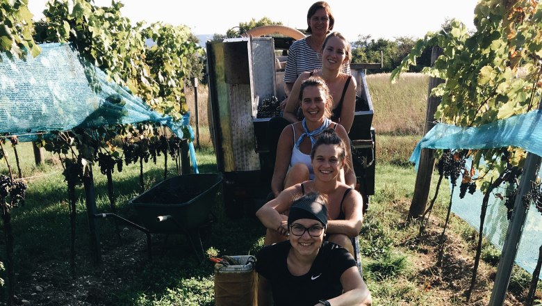 Organic winery Hofschneider Mannersdorf, © Bio Weingut Hofschneider Group of people sitting in a row on a vineyard.