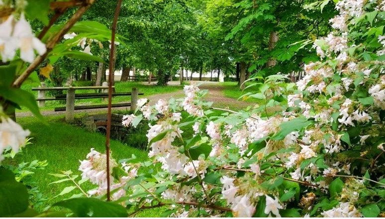 St. Leonhard am Forst Castle Park, © Josef Motusz St. Leonhard am Forst Castle Park, © Josef Motusz