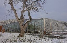 Orangery in winter, © Gut Guntrams A modern orangery in winter, surrounded by snow-covered trees and hills.