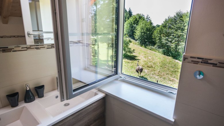 view-bathroom, © Otto Brandl view-bathroom, © Otto Brandl