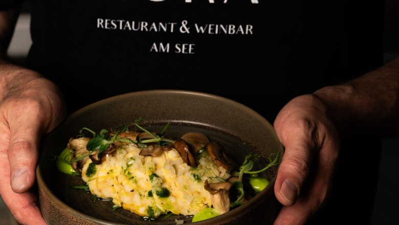 Appetizer, © Ho & Co GmbH Appetizer, © Ho & Co GmbH