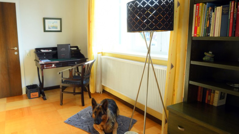 Apartment living room, © Regina Petric Apartment living room, © Regina Petric