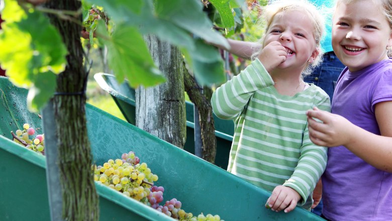 Traisental, © weinfranz.at Two laughing children in the vineyard, one is eating grapes.