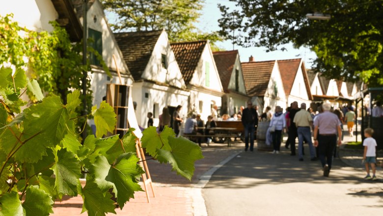 Cellar lane festival in Falkenstein, © Weinviertel Tourismus / Lisa Sedlatschek People stroll through a picturesque alleyway with white houses and vines in the foreground.