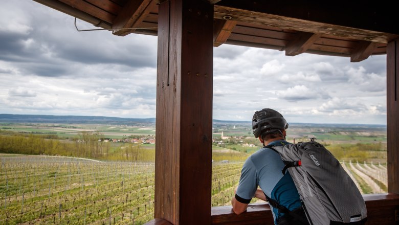View over the Retzer Land, © Erwin Haiden A person wearing a bicycle helmet looks out from a wooden pavilion onto vineyards and the countryside in Retzer Land.
