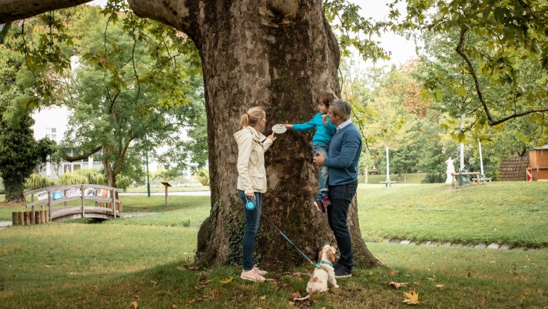 Bad Vöslau Castle Park, © Silke Ebster Bad Vöslau Castle Park, © Silke Ebster