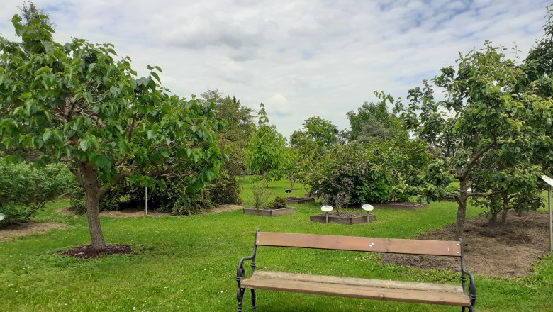 Alchemist Park, © Verena Schnatter Alchemist Park, © Verena Schnatter