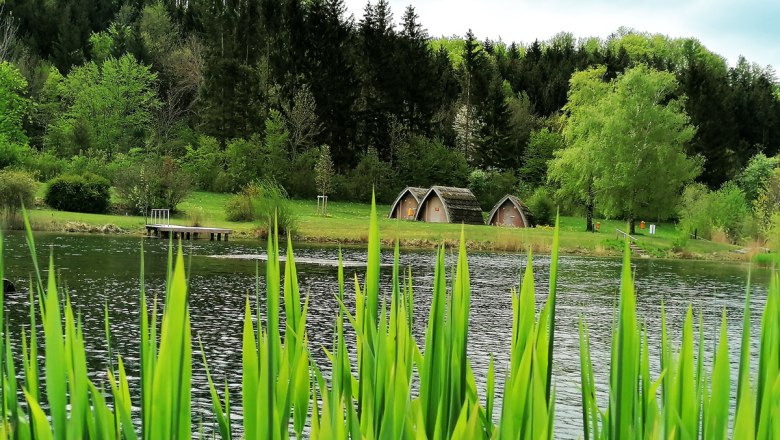 View of the sleeping huts, © PielachtalCamping View of the sleeping huts, © PielachtalCamping
