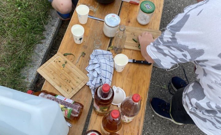 Vacation game, © Barbara Weilguni Vacation game, © Barbara Weilguni