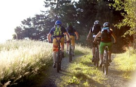 Guided bike tours, © Wiener Alpen, Thomas Bartl, Mountainbikeguides.com Group of cyclists on a forest path in the sunshine.