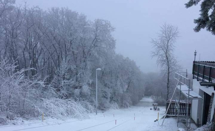 Two drag lifts take skiers back to the top, © Fritz Weiss Snow-covered ski slope with drag lift and trees in the background.