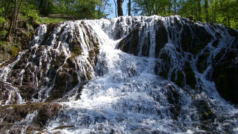 Veil waterfall, © Gemeinde Hohenberg A waterfall flows over moss-covered rocks in a forest.