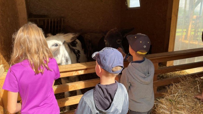 experiences-at-karnerhof, © Karnerhof experiences-at-karnerhof, © Karnerhof