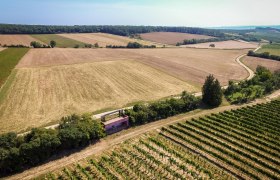 Immendorf circular ditch, © Marktgemeinde Wullersdorf Aerial view of fields and vineyards in Wullersdorf, Austria.
