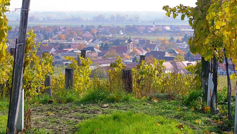 Gedersdorf, © Gedersdorf View of Gedersdorf with vines in the foreground.