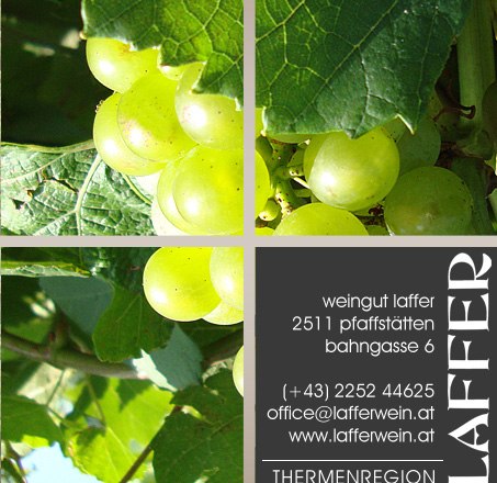 Grape and contact details, © weingut-laffer.at Green grapes and contact details of the Laffer winery.