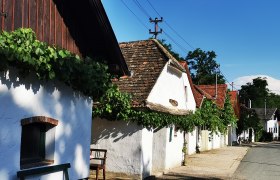 Wine cellar lane in Hadres, © Weinstraße Weinviertel Wine cellar lane in Hadres with white houses and vines.