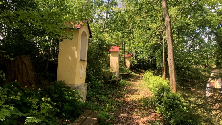 The idyllic spring trail leads to the Bründl, © Weinstraße Weinviertel A narrow forest path with small chapels and benches, surrounded by green trees and plants.