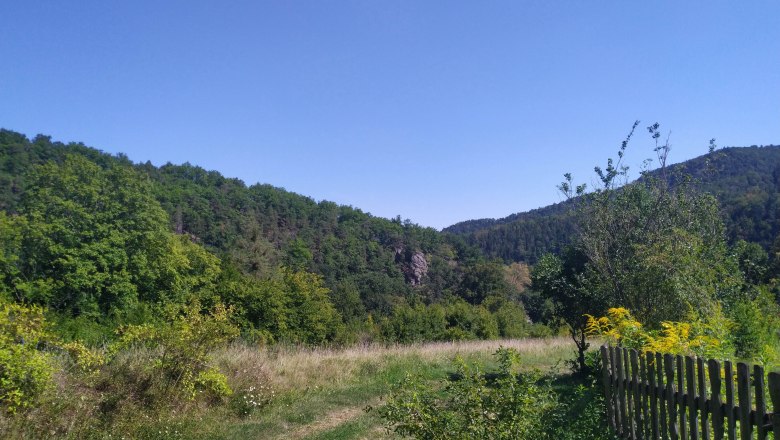 On the way to the secret court, © Donau NÖ Tourismus Landscape with meadows, trees and a wooden fence under a blue sky.