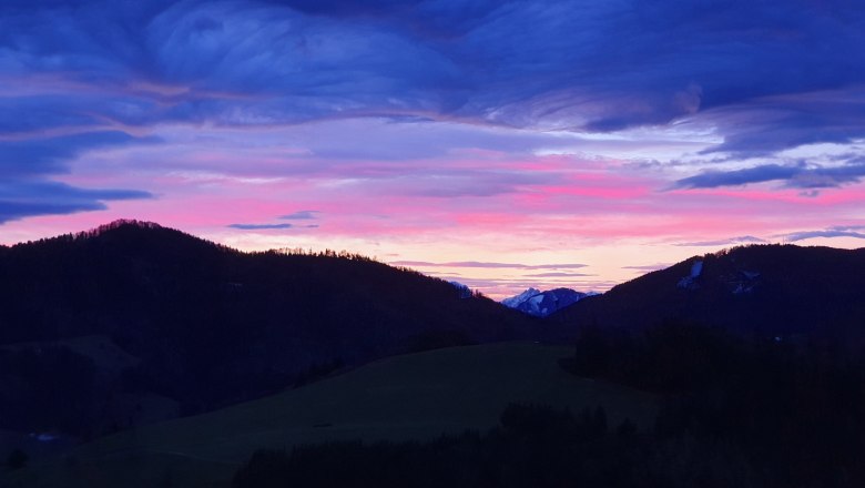 XeisView, © Melanie Schweighuber XeisView, © Melanie Schweighuber