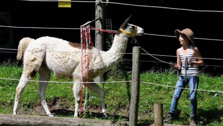 On the road with children, © Martina Burzin A child leads a llama on a leash along a fence in a meadow.