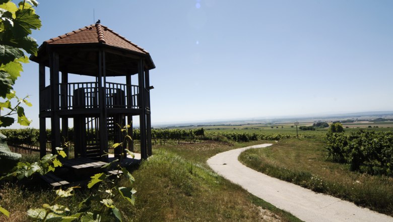 Fels am Wagram lookout point, © Steve Haider Observatory with a red roof in a vineyard landscape.