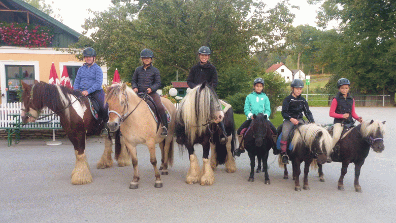 Holzmühle Inn & Pony Farm, © Birgit Taxböck Holzmühle Inn & Pony Farm, © Birgit Taxböck