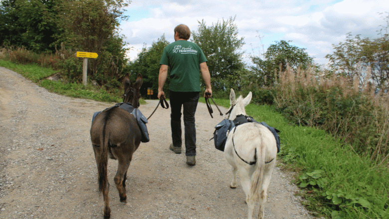 Holzmühle Inn & Pony Farm, © Birgit Taxböck Holzmühle Inn & Pony Farm, © Birgit Taxböck