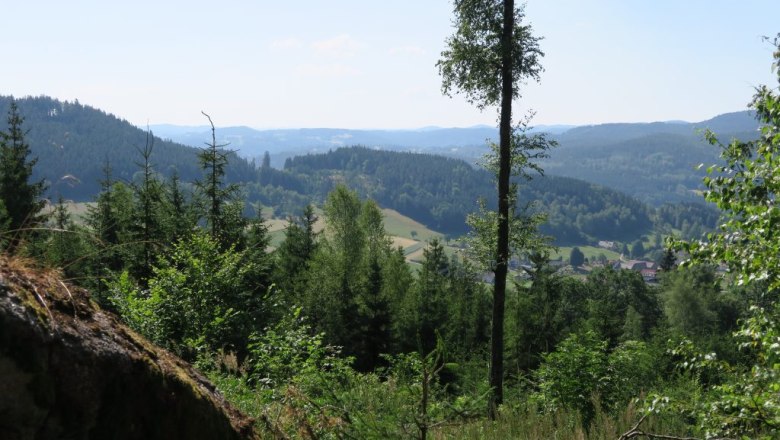 View Arraberg, © ARRA-Bogensport Harmanschlag View Arraberg, © ARRA-Bogensport Harmanschlag