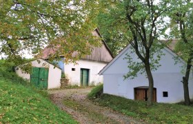 Wine cellar lane in Ameis, © Marktgemeinde Staatz Ameis wine cellar lane with white buildings and green doors, surrounded by trees and grass.