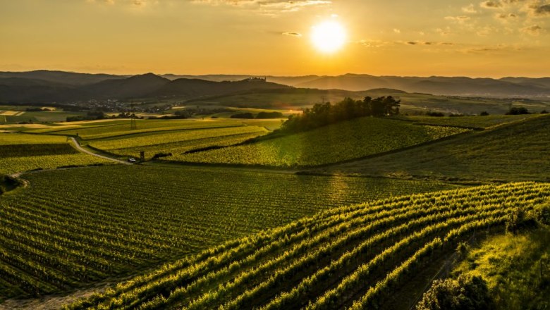 Himmelreich vineyard, © pov.at Sunset over vineyards in a hilly landscape.