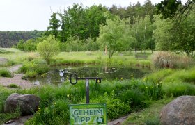 Dragonfly pond, © Stadtgemeinde Maissau A green pond with trees in the background and a sign saying 'Geheim Tipp' in the foreground.