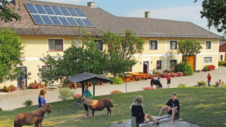 Trout farm, © Gertraud Erber Children playing on a farm with ponies in the foreground.