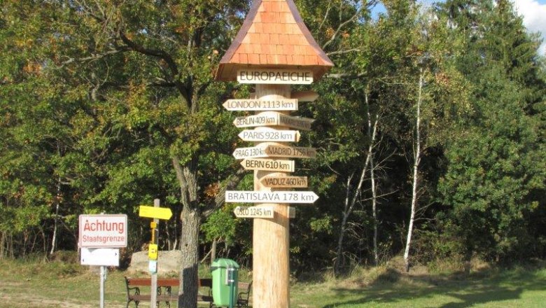 European oak, © Gemeinde Haugschlag European oak, © Gemeinde Haugschlag