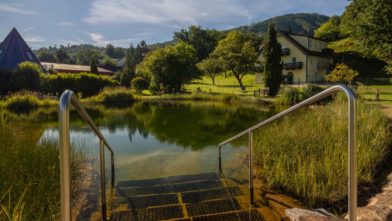 Hotel ResidenzWachau, © Niederösterreich Werbung / Maximilian Pawlikowsky Steps lead to a pond with clear water, surrounded by green countryside and a house in the background, under a bright blue sky with sunshine.