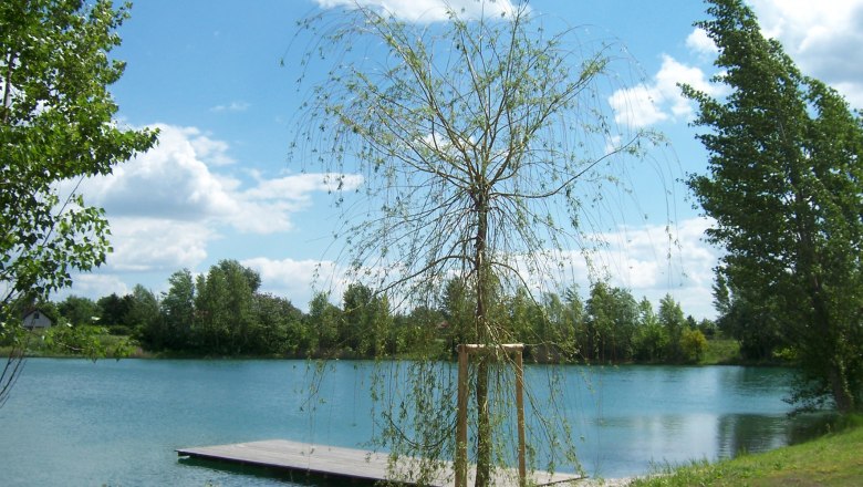 Laxenburg bathing pond, © Gemeinde Laxenburg A small jetty on a lake with trees and a blue sky in the background.