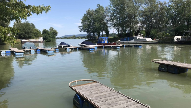 Boats in Marbach harbor, © Donau NÖ Tourismus Boats in the harbor of Marbach am Neckar, surrounded by trees and jetties.