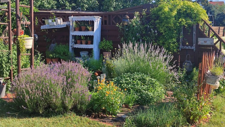 Fragrant herb garden, © Susanne Bleier A lush herb garden with lavender, marigolds and various herbs in front of a wooden fence.