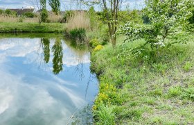A little refreshment on hot days, © Weinstraße Weinviertel A pond with a wooden footbridge, surrounded by green vegetation and blossoming trees under a blue sky.