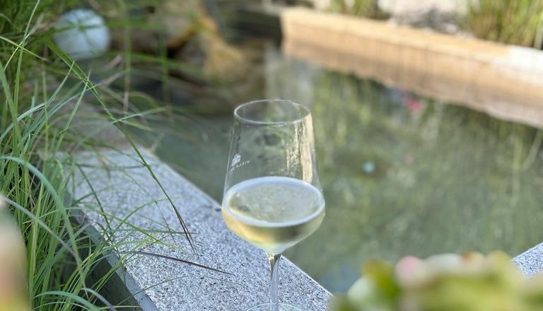 Garden area, © Martina Lechner A wine glass stands on a stone edge next to a pond in the garden, surrounded by green plants.