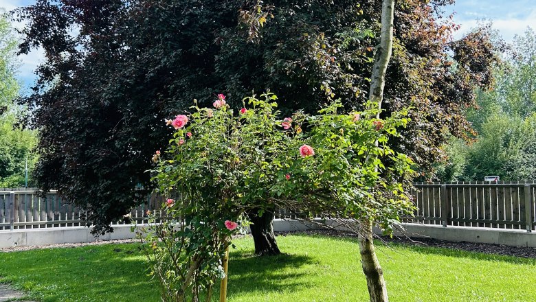 TDR-The Guesthouse Garden, © Mayer Markus TDR-The Guesthouse Garden, © Mayer Markus