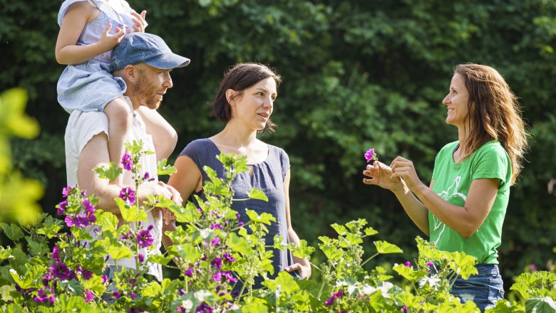 Herbal workshops, © Christian Hofer A group of people in a herb garden, surrounded by flowering plants.