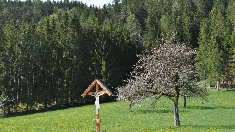 Landscape behind the house, © Patrick Leitner Landscape behind the house, © Patrick Leitner