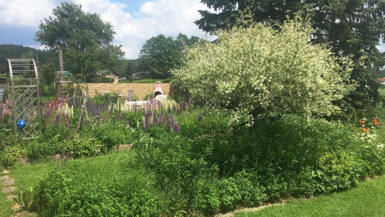 Garden light oasis, © Peter Brezina Garden light oasis, © Peter Brezina