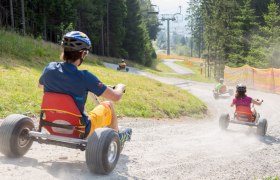 Mountain cart fun in Mönichkirchen, © Erlebnisalm Mönichkirchen-Mariensee GmbH, Fotograf und Fee People ride down a gravel path on mountain carts, surrounded by trees and a ski lift.