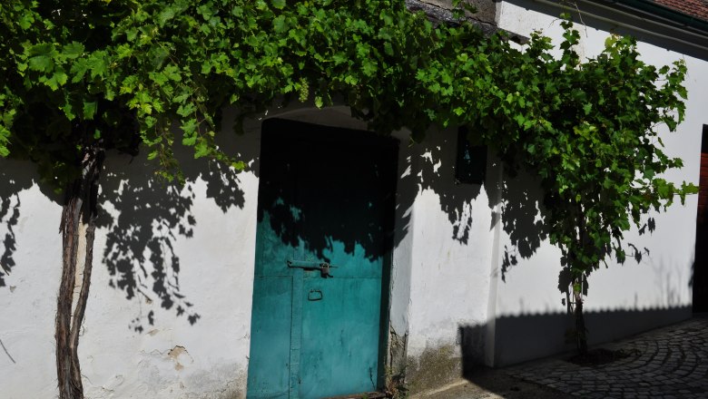 Wine cellar lane Rösselberg, © Weinviertel Tourismus An old, green door in a white wall, surrounded by vines.