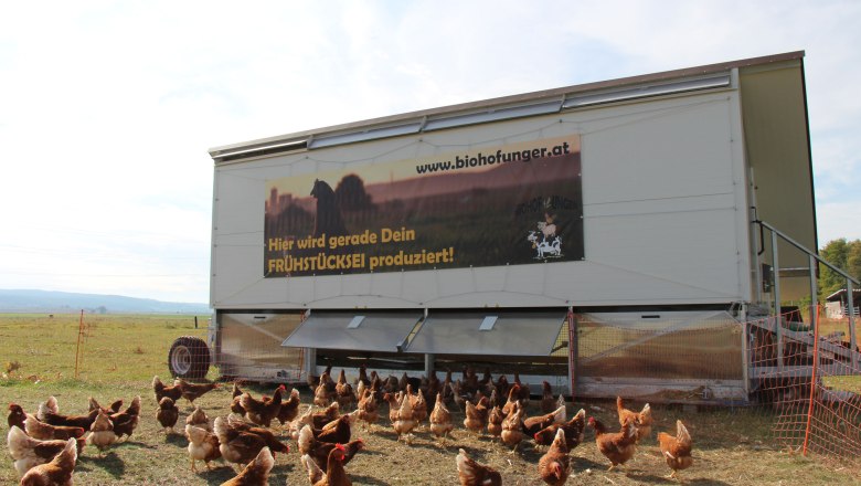 Biohof Unger, chickens, © Biohof Unger Chickens on a meadow in front of a mobile chicken coop with an advertising banner.