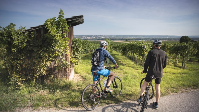 Cycling break in the vineyards in Furth, © Daniela Matejschek Cycling break in the vineyards in Furth, © Daniela Matejschek
